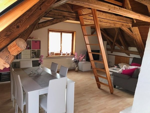 2.5 Zi. Dachwohnung, 14m2 mit schöner Aussicht auf die Alpen 2