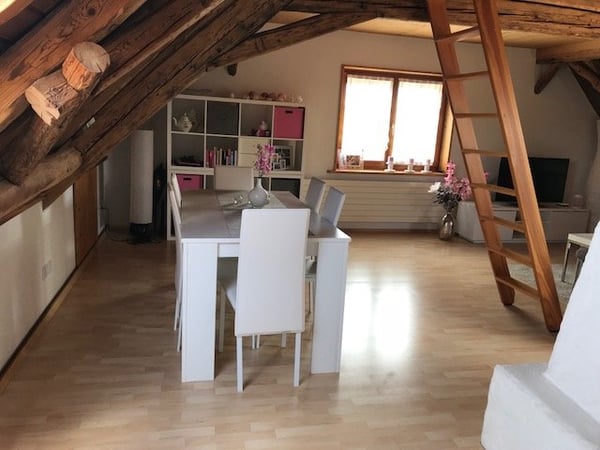 2.5 Zi. Dachwohnung, 14m2 mit schöner Aussicht auf die Alpen 4