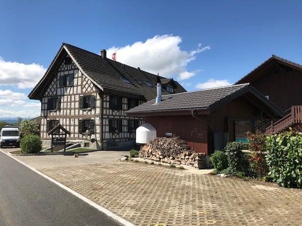 2.5 Zi. Dachwohnung, 14m2 mit schöner Aussicht auf die Alpen 1