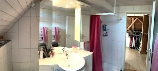 2.5 Zi. Dachwohnung, 14m2 mit schöner Aussicht auf die Alpen 9