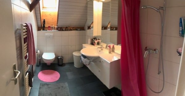 2.5 Zi. Dachwohnung, 14m2 mit schöner Aussicht auf die Alpen 8