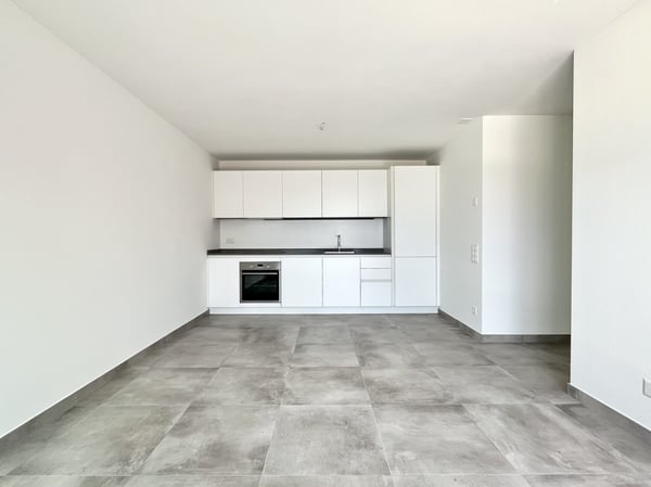 NUOVO APPARTAMENTO 1.5 LOCALI AL PIANO TERRA A TESSERETE 4