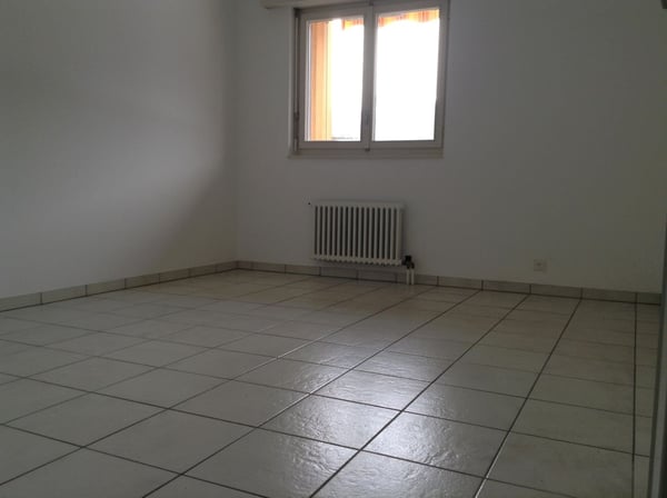 Appartamento 1.5 a Quartino con giardino  ID 20138 12