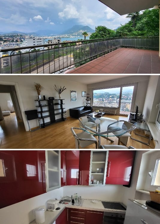 Nuovo Prezzo 1.5 locali a Paradiso con stupenda vista lago 8