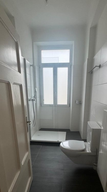 Luminoso 11/2 locali 5