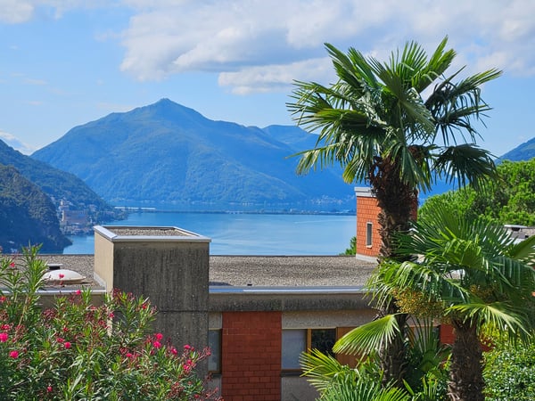 Ruvigliana - appartamento 1.5 locali 1