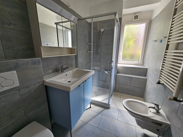 Ruvigliana - appartamento 1.5 locali 4