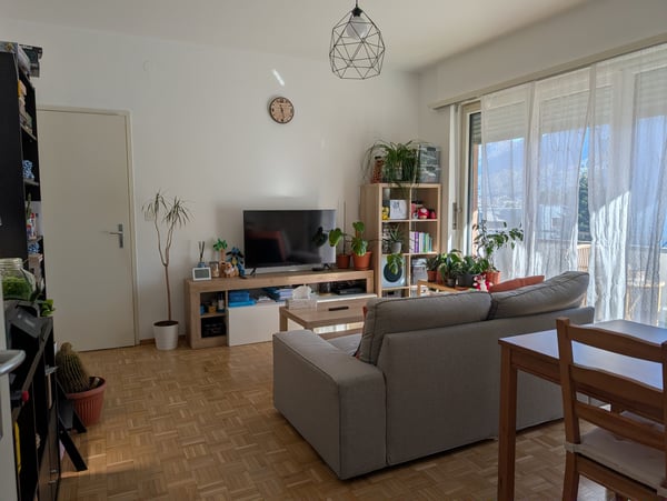 Cerco subentrante per l'1 febbraio 1016 1