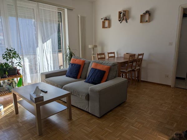 Cerco subentrante per l'1 febbraio 1016 2