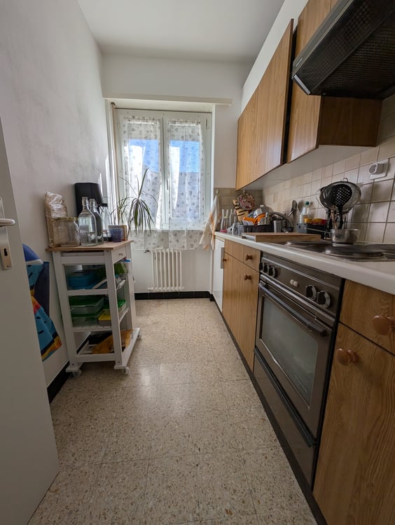 Cerco subentrante per l'1 febbraio 1016 4