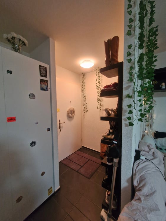 2.5 Zimmerwohnung in Zuchwil 1