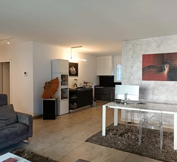 STUPENDO 1.5 LOC. CON GIARDINO A BELLINZONA   ID 23534 8