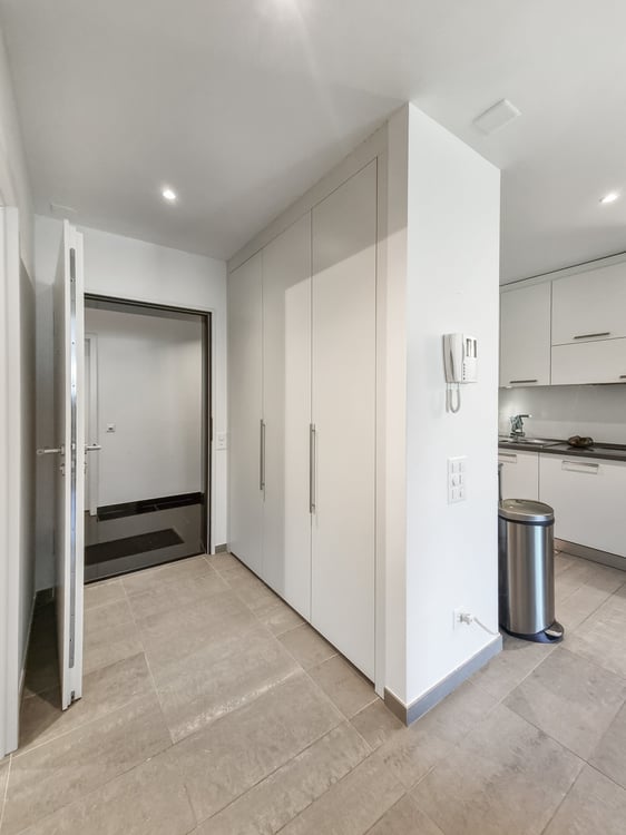 Paradiso - appartamento moderno e arredato di 1.5 locali 3