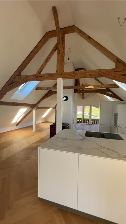 Exklusives Scheunenloft 1