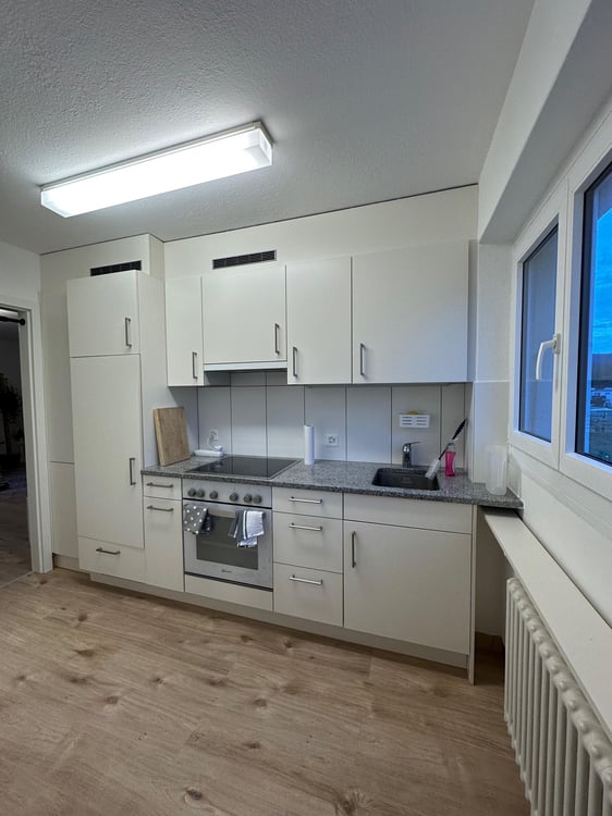 1 Zimmer Wohnung in Naturnähe 4