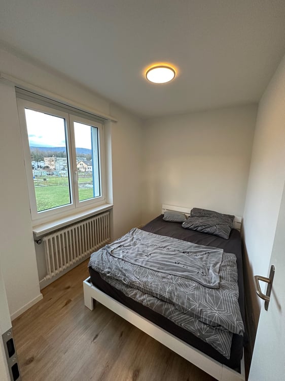 1 Zimmer Wohnung in Naturnähe 3