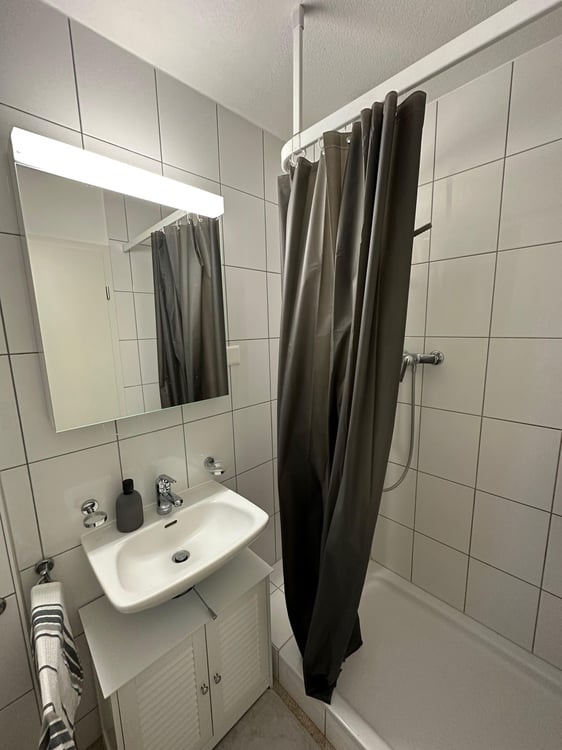 1 Zimmer Wohnung in Naturnähe 5