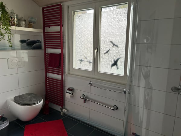 Einfamilienhaus für grosse Familie 5