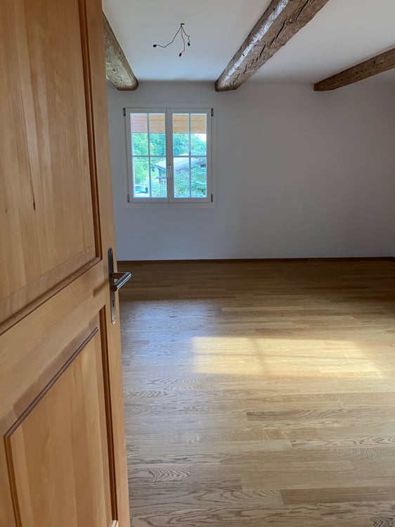 1.5 Zimmer Haus oberhalb der Stadt Weinfelden TG 1