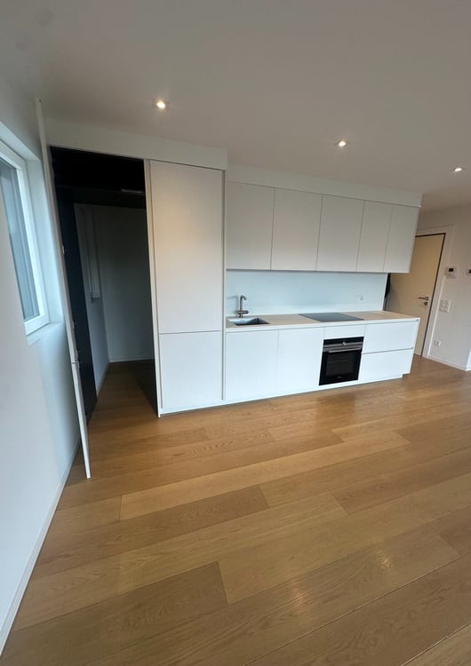 STRATEGICO 1.5 LOC. A LUGANO CON VISTA LAGO  ID 23625 8