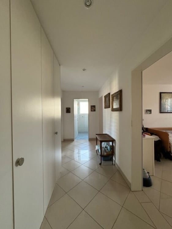 Ascona - Confortevole appartamento di 1.5 Locali 4