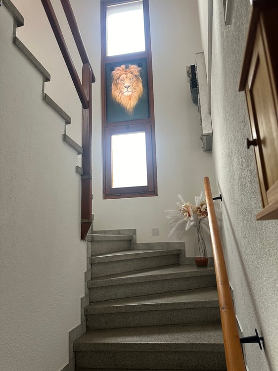 Affitto Casa unifamiliare 1 locali 4