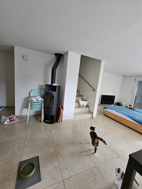 1½Zi Reihenhaus per 1.4.26 1