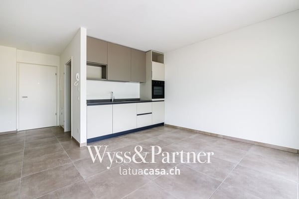 Bellinzona, 2.5 locali in zona panoramica 1