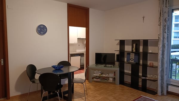 Bel 1.5 locali zona residenziale a pochi passi dal centro 2