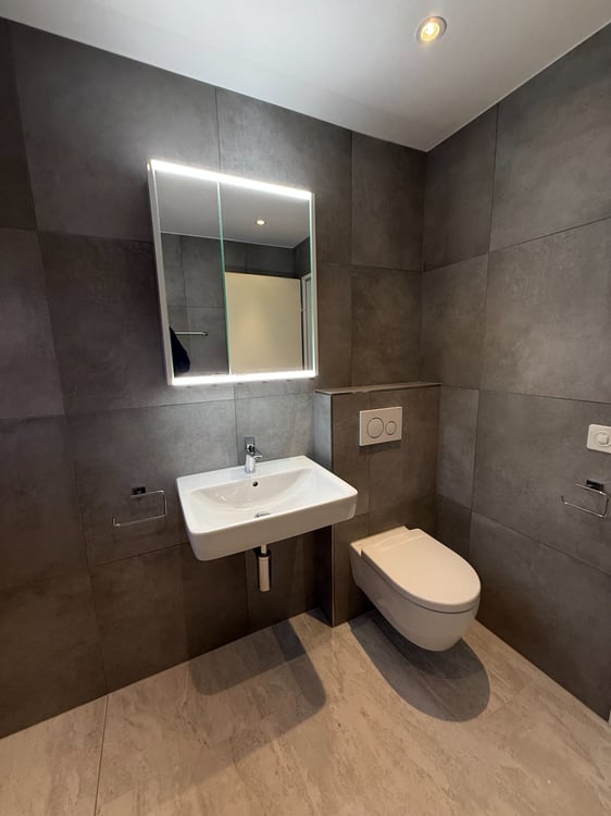 1.5-Zimmer-Wohnung renoviert und gut gelegen in Dulliken 3