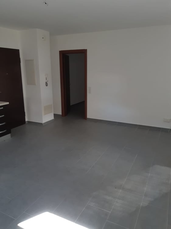 Chiasso, appartamento luminoso 3