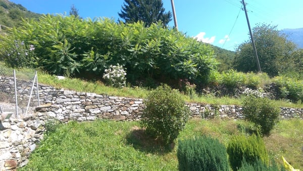 VILLA A ROVEREDO BACIATA  DAL  SOLE 5