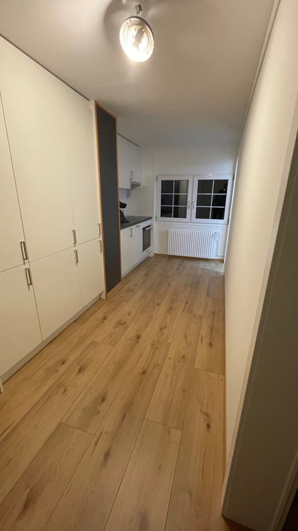 1.5 Zimmer Wohnung 3