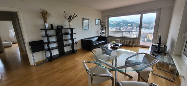 Nuovo Prezzo 1.5 locali a Paradiso con stupenda vista lago 5