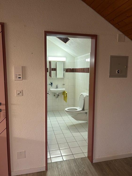2.5-Zimmer-Dachwohnung 4