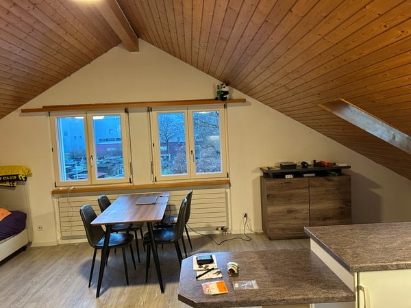 2.5-Zimmer-Dachwohnung 2