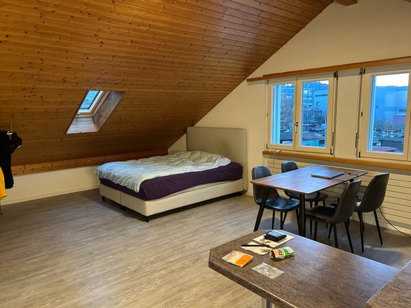 2.5-Zimmer-Dachwohnung 3