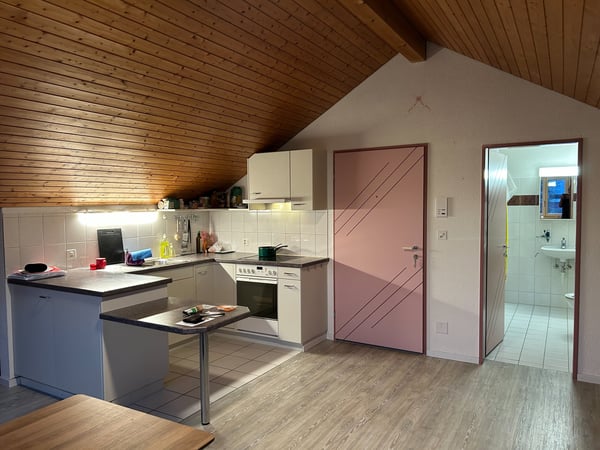 2.5-Zimmer-Dachwohnung 1