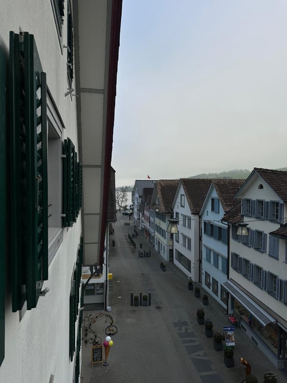 2 Zimmer-Wohnung in Küssnacht am Rigi mieten 5