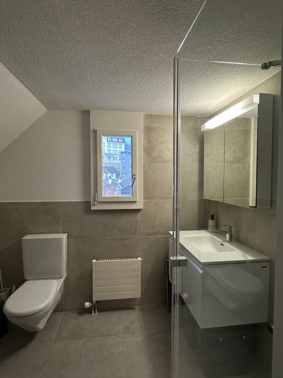 2 Zimmer-Wohnung in Küssnacht am Rigi mieten 3