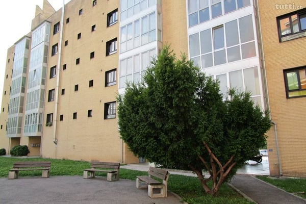 1.5 locali, Rent to Buy, anche senza contratto di lavoro 3