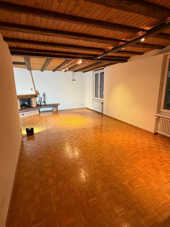 Stilvolle 1.5-Zimmer-Wohnung direkt am See in Horn 1