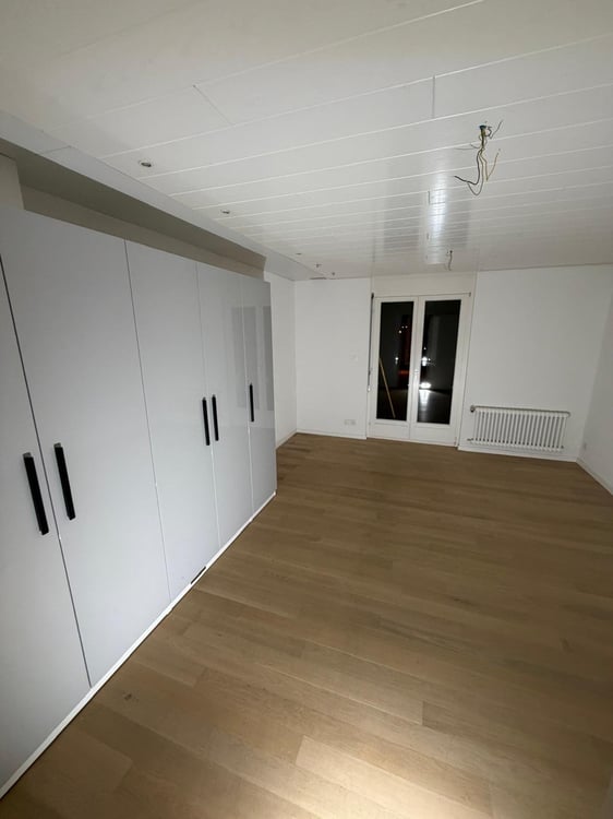 Stilvolle 1.5-Zimmer-Wohnung direkt am See in Horn 3