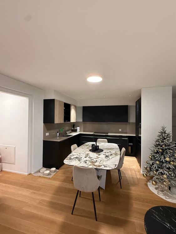 Origlio: 1.5 locali con giardino privato 2