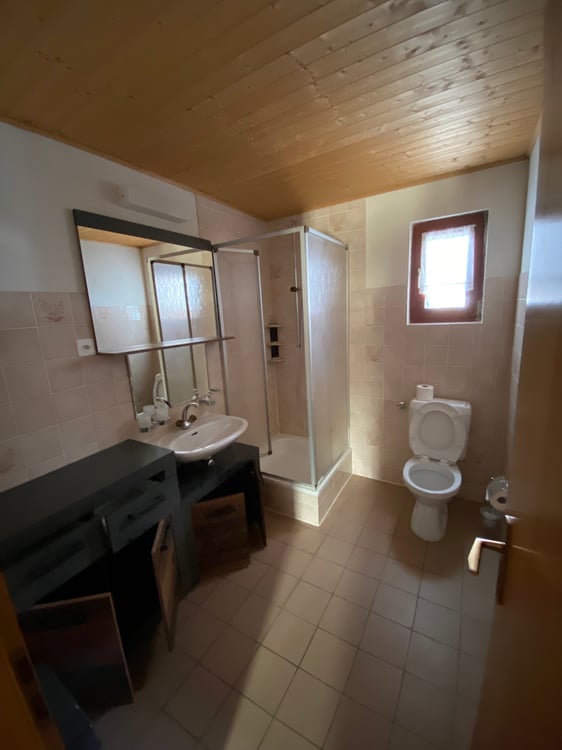 Appartamento 1.5 locali a Pian San Giacomo 5