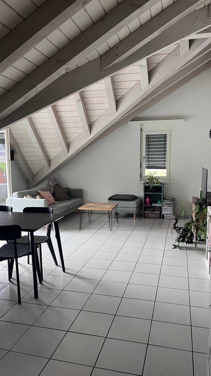 1.5 Zi Whg. Inkl TG PP und Aussenparkplatz 1