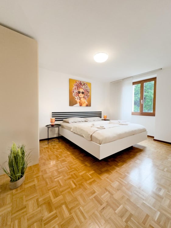 LUMINOSO APPARTAMENTO A COMANO 4