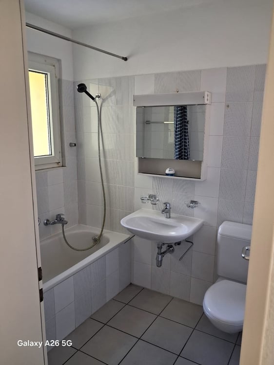 Bell'appartamento 1.5 locali 4