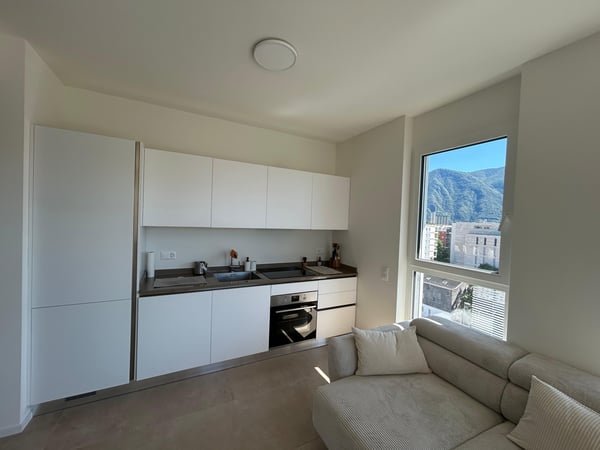 Appartamento 1.5 centro Lugano 4