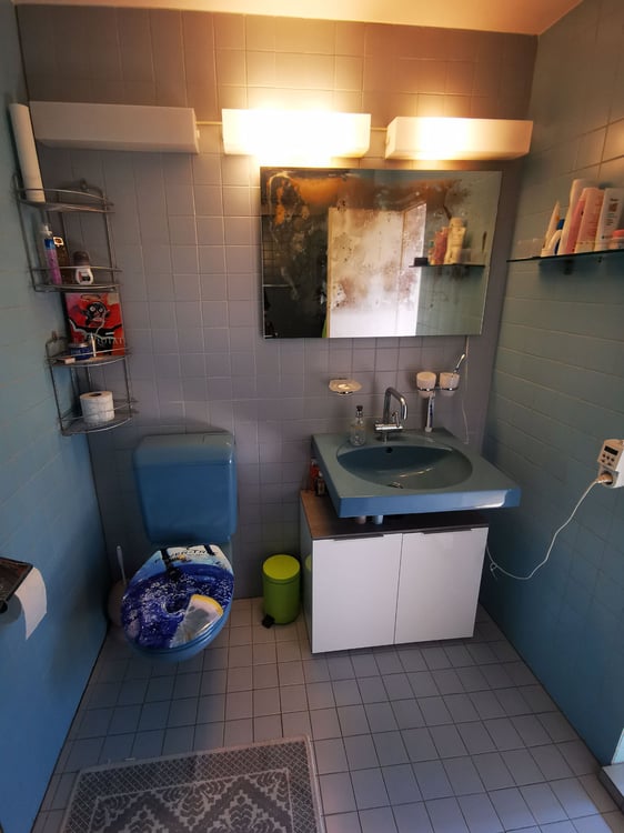 1.5-Zimmer-Atelier-Haus 20m2/ Tiny House / mit Garten 5